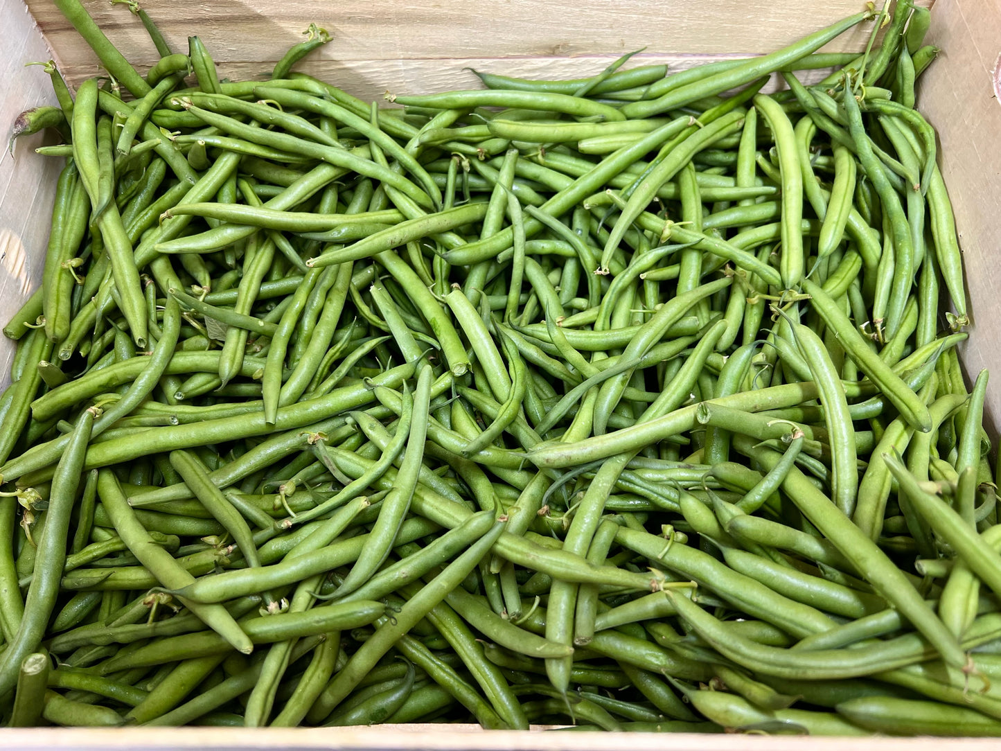 Green Beans, 1lb