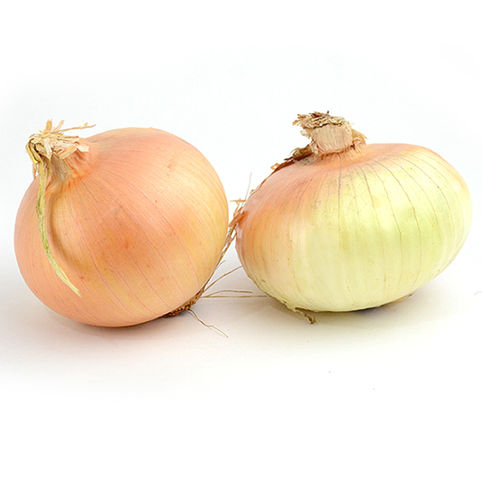 Onion, Georgia Sweet Vidalia *SALE*