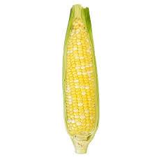 Corn, Sweet