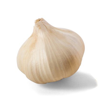 Garlic Bulb