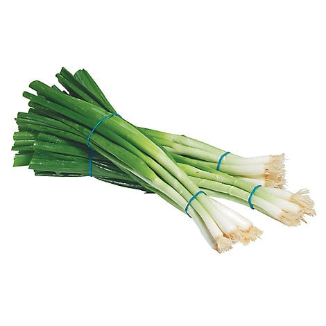 Onion, Green