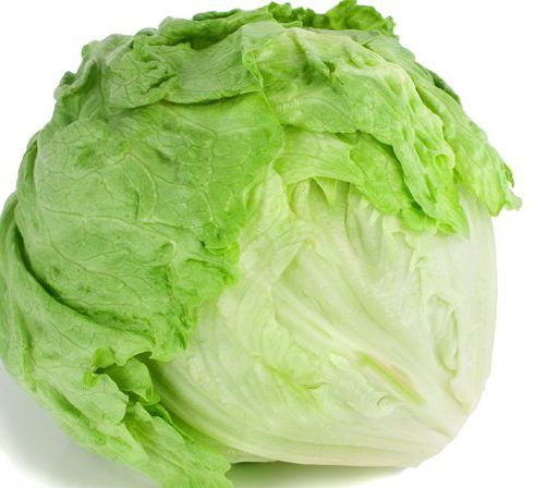 Lettuce, Head