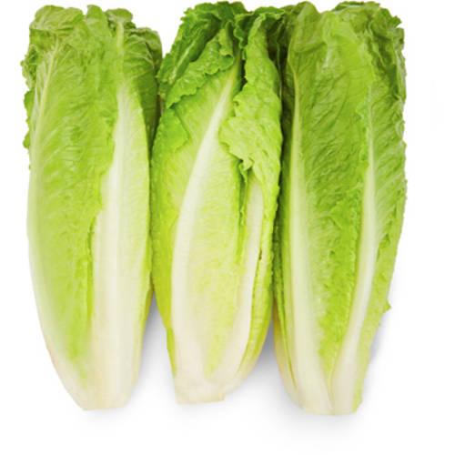 Lettuce, Romaine Hearts 3PK