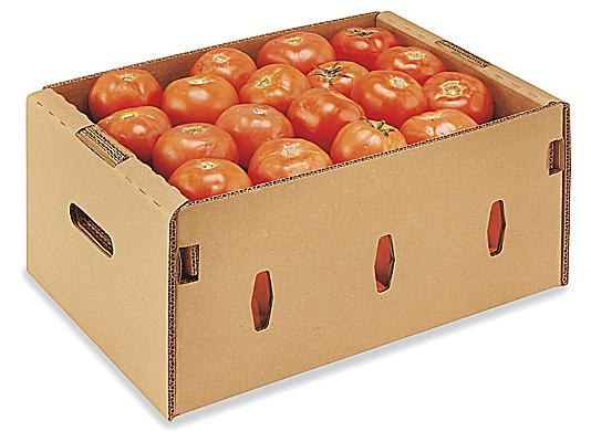 Tomato, slicing