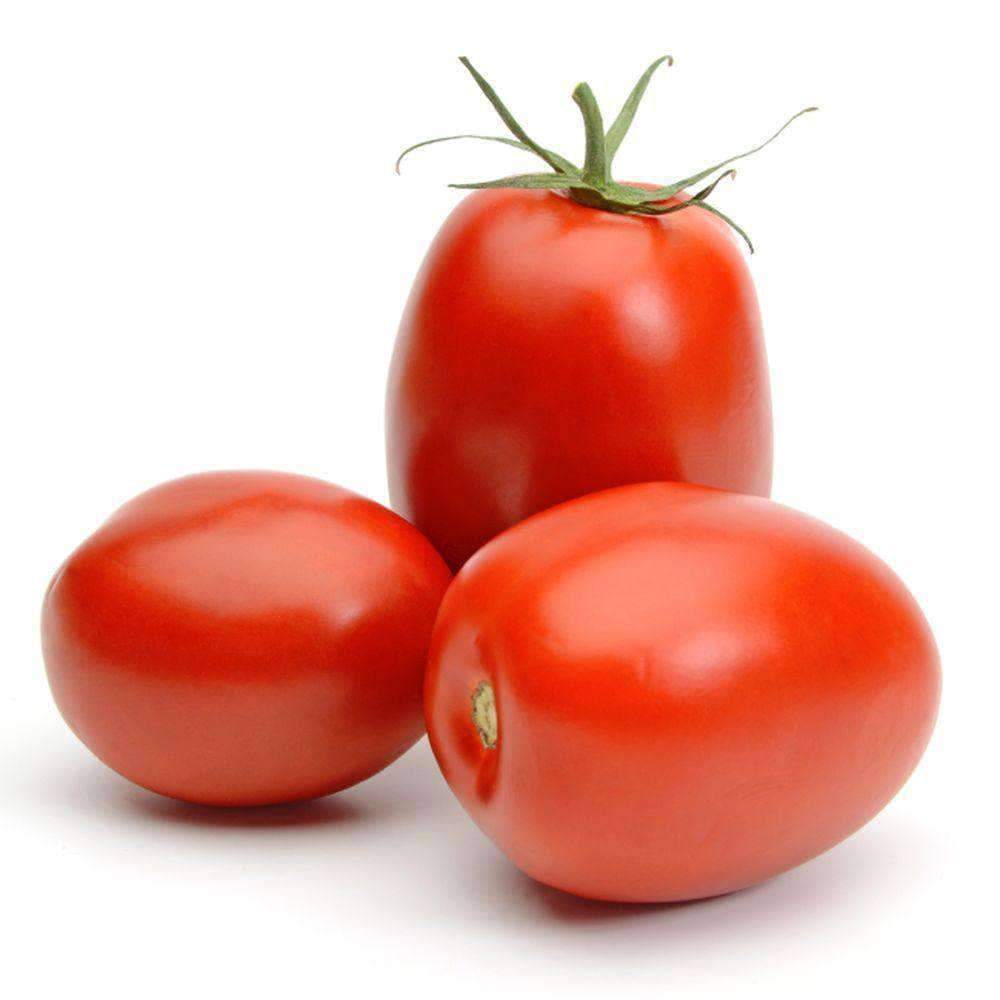 Tomato, Roma