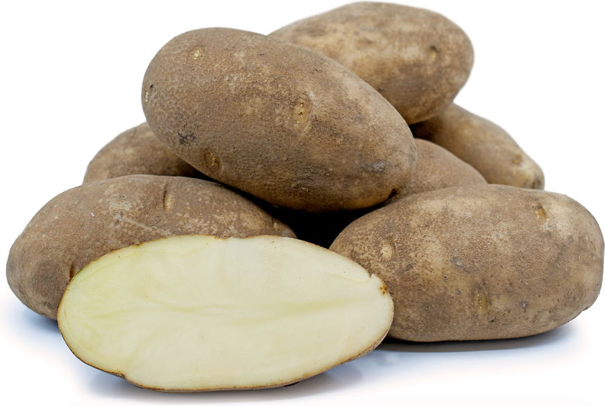 Potato, Russet 10#