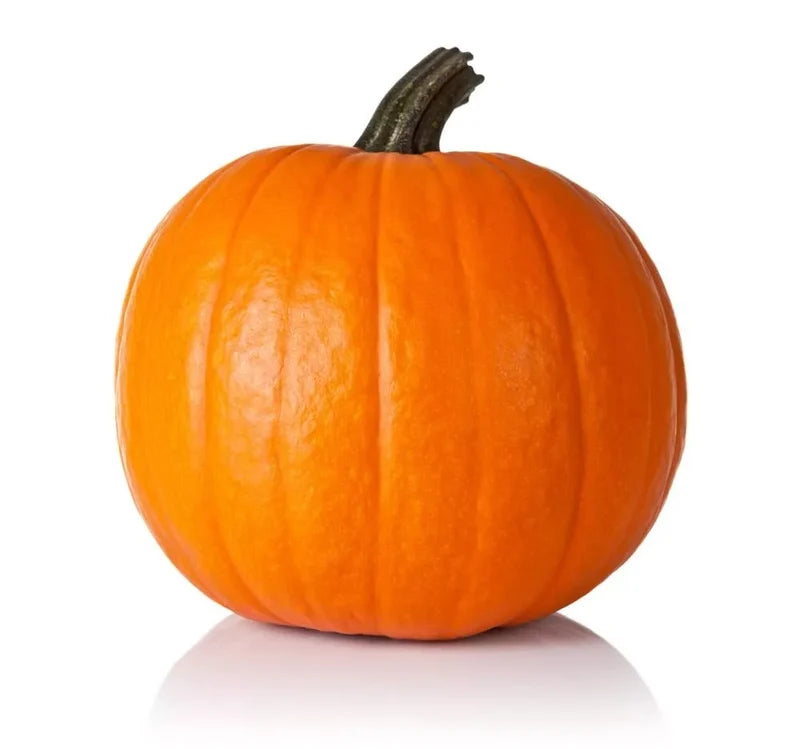 Pumpkin, Medium Carving *SALE*