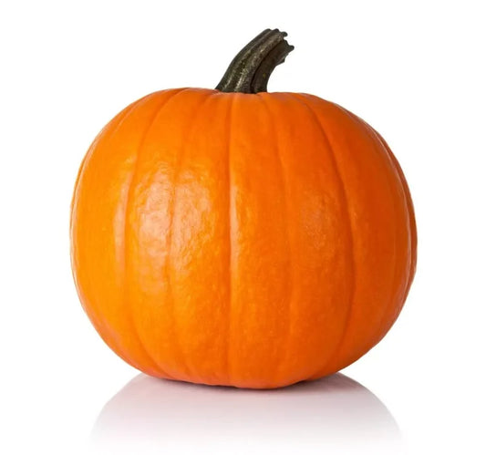 Pumpkin, Medium Carving *SALE*