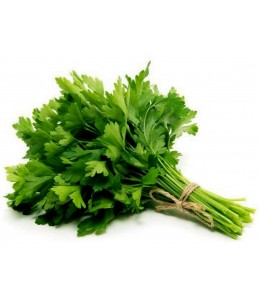 Parsley - Italian