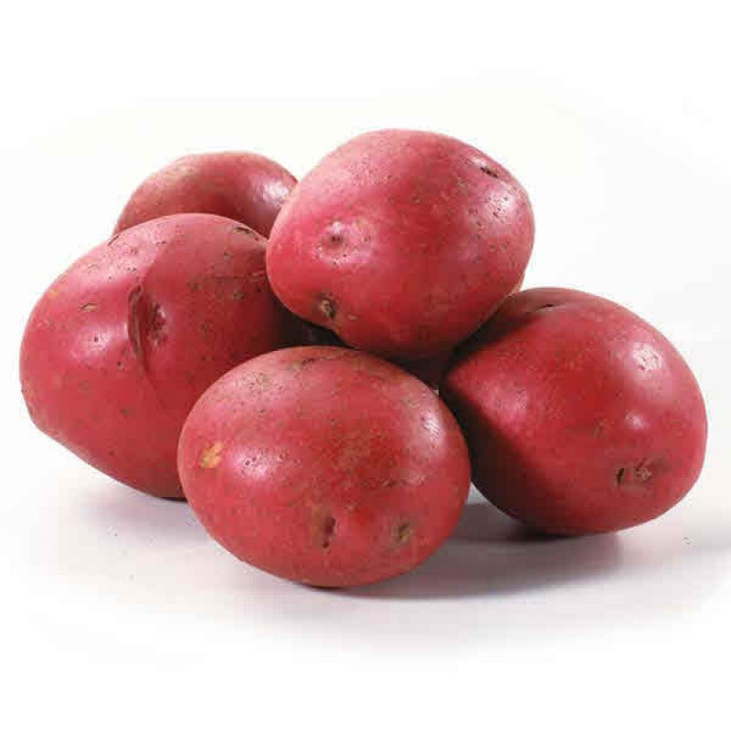 Potato, Red 5#